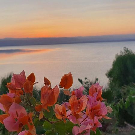 Comfy Stays Sea View Apartments At Deadsea Samarah Resort Sweimeh Ngoại thất bức ảnh