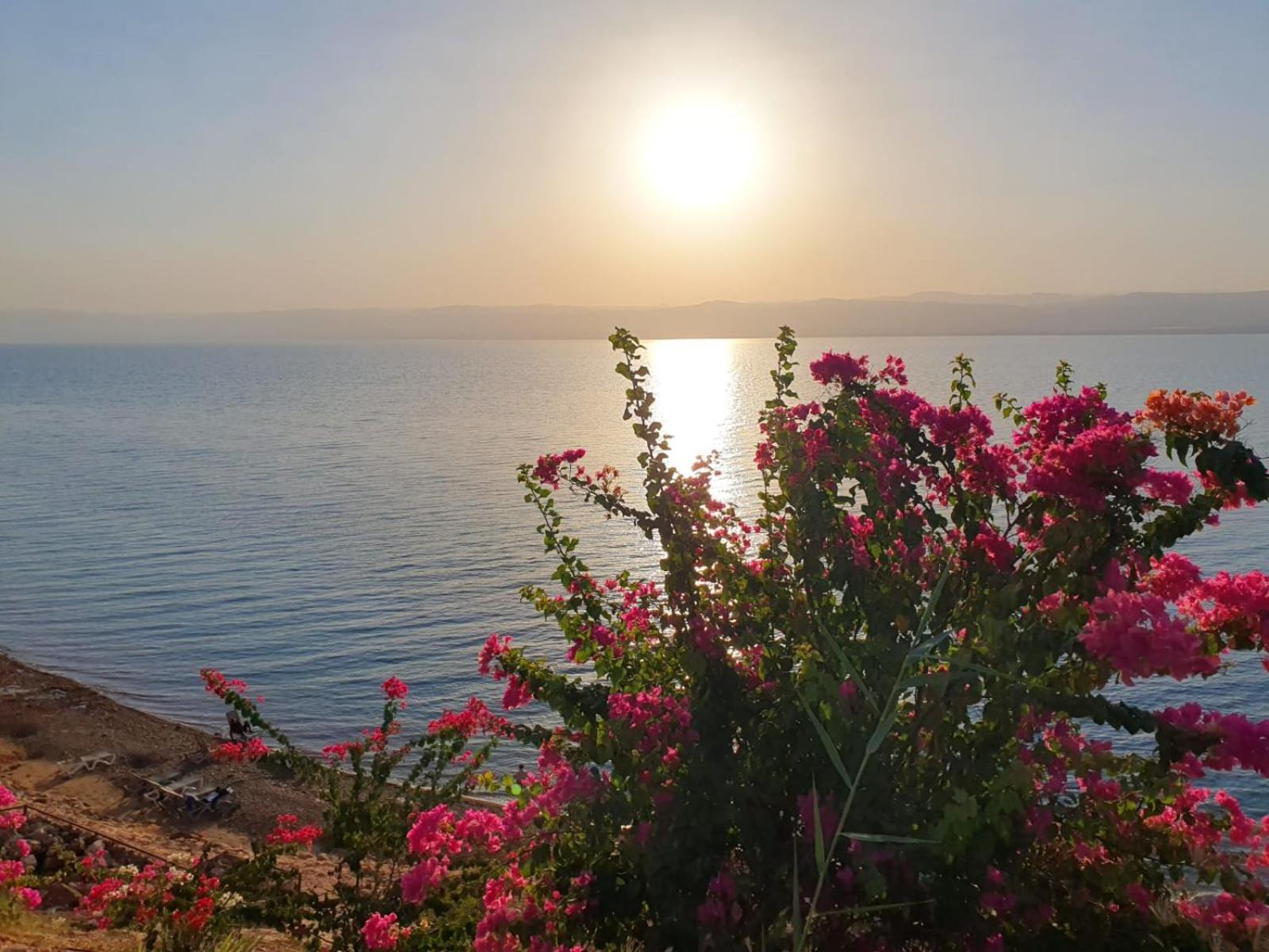 Comfy Stays Sea View Apartments At Deadsea Samarah Resort Sweimeh Ngoại thất bức ảnh